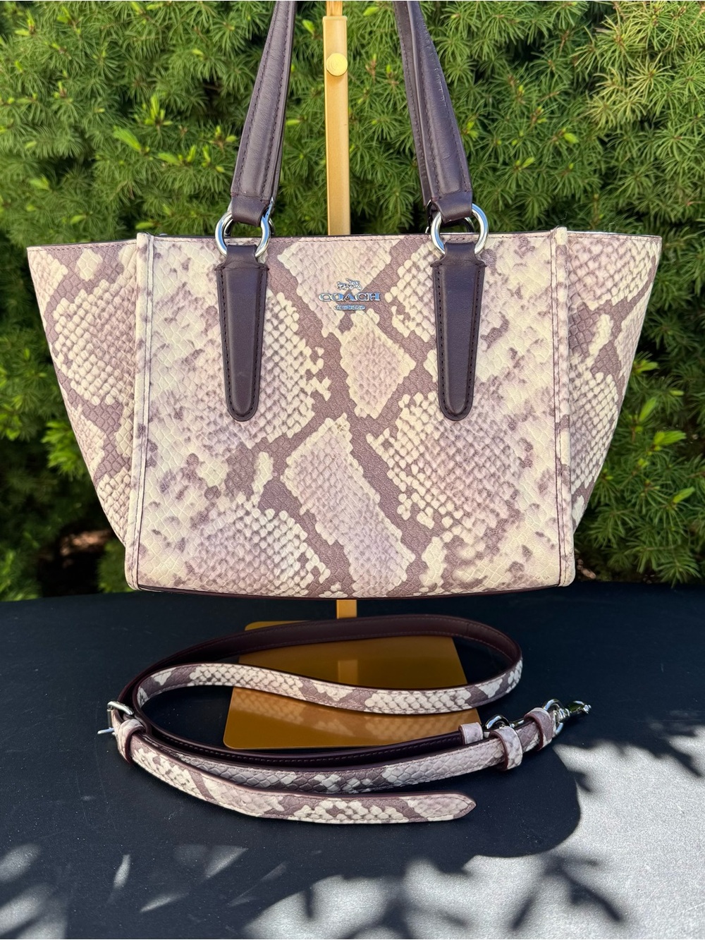 * Retired* Coach Crosby 21 Carryall in Python-Embossed Leather